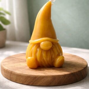 WhatsApp Image 2026-02-11 at 13.15.30