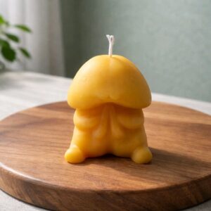 WhatsApp Image 2026-02-11 at 13.15.31 (2)