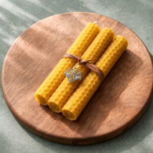 WhatsApp Image 2026-02-11 at 13.15.31 (3)